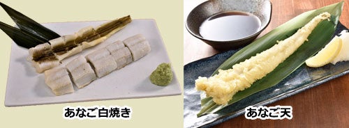 真あなご開き 天ぷら用 10尾 冷凍 業務用食材 飲食店仕入れ ミクリード