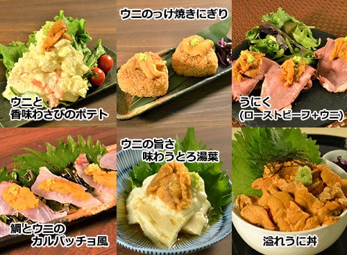 冷凍ブランチうに ミョウバン不使用 100g 冷凍 業務用食材 飲食店仕入れ ミクリード