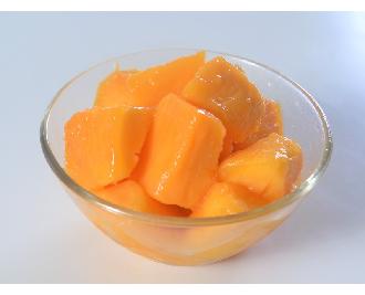 現品】大株 マハチャノック 略：マハチャノ マンゴーの木 12号 M12