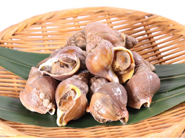 ボイル磯つぶ 1kg