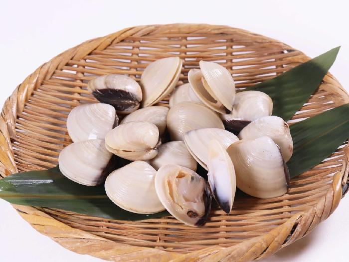 殻付き小はまぐり（ボイル） 500g