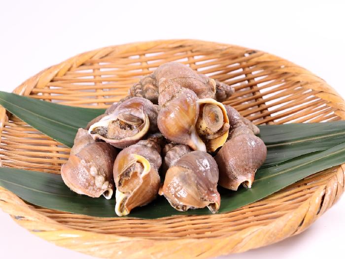 ボイル磯つぶ 1kg