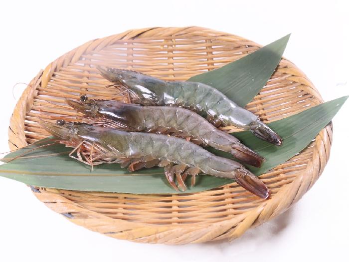 有頭殻付バナメイ(生食可） 35尾