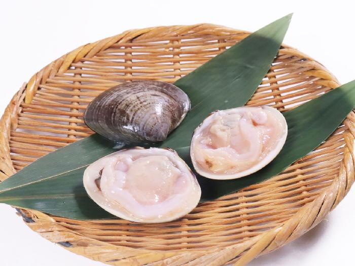 片貝はまぐり（生冷凍）（16/20） 1kg