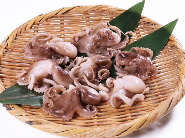 いいだこ（ブランチ） 400g