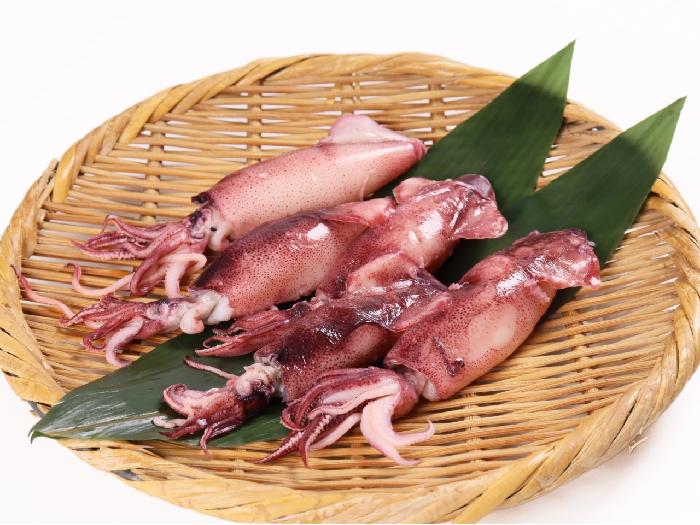 丸ごと食べられるカリフォルニアヤリイカ 500g