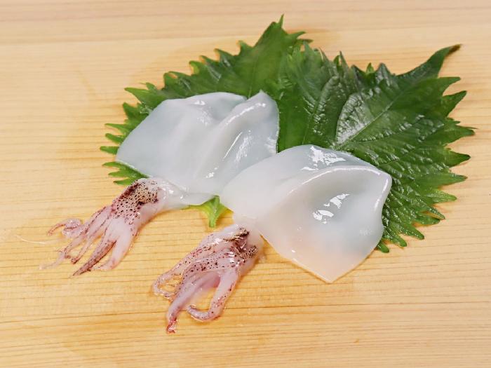 やりいか姿（刺身用） 20枚