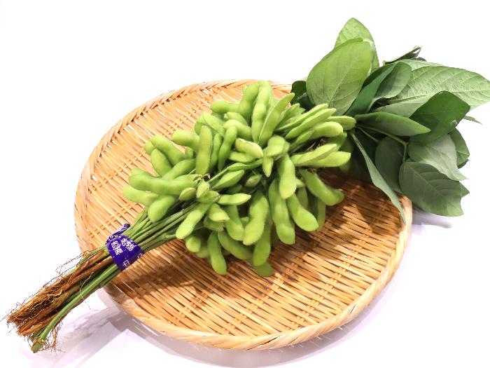 葉付き枝豆 1束