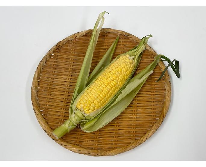 とうもろこし（約300g） 1本