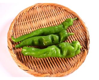 京野菜】万願寺唐辛子（約100g） 1パック | 業務用食材・飲食店
