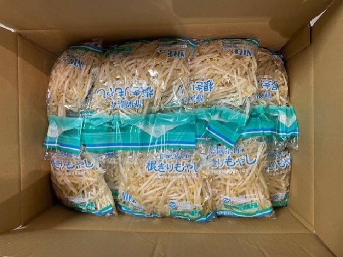 【ｹｰｽ】もやし（約250g×20） 1箱