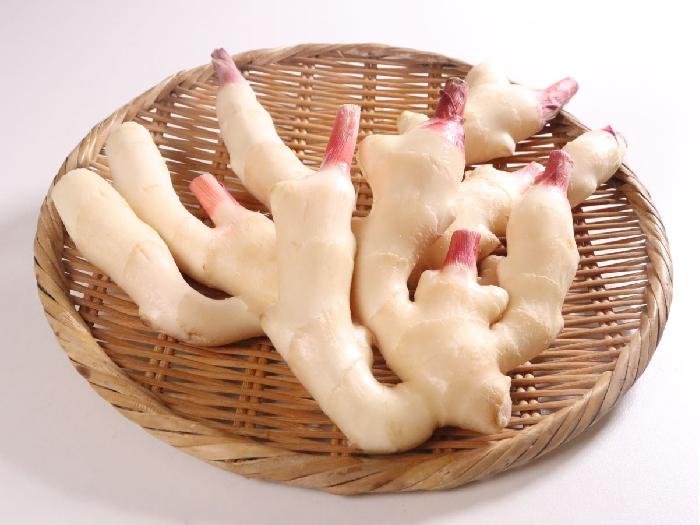 【国産】新生姜（約500ｇ） 1パック