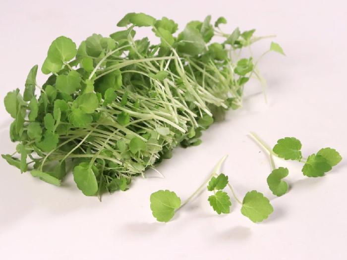 マイクロハーブ アニスイート 1パック