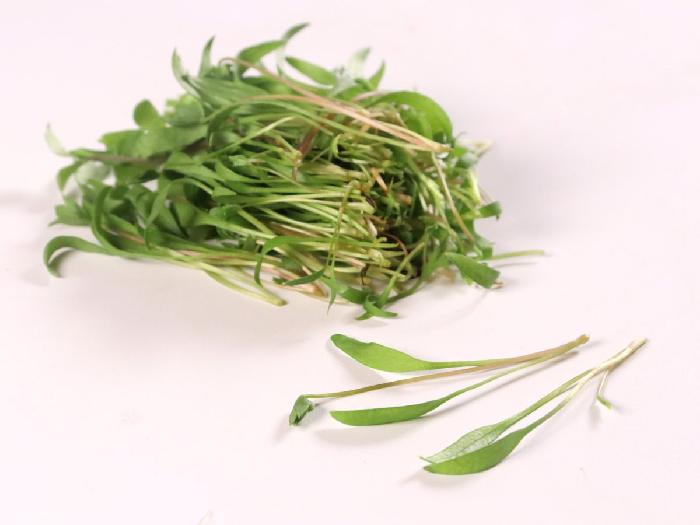 マイクロハーブ セロパセ 1パック