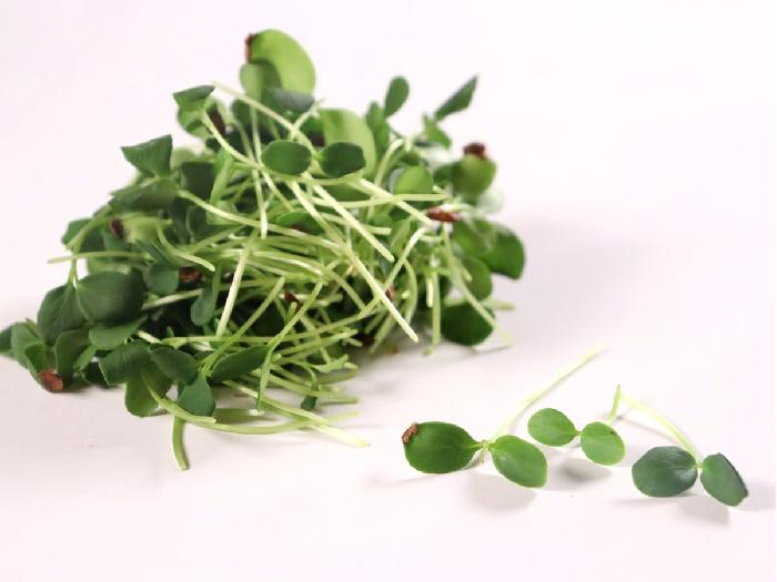 マイクロハーブ ウッディーナッティ 1パック