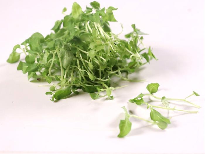 マイクロハーブ 四川花椒菜 1パック