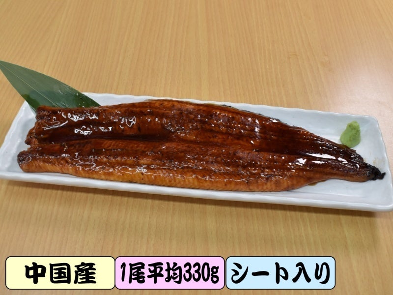 活〆特大うなぎ長蒲焼き 15尾