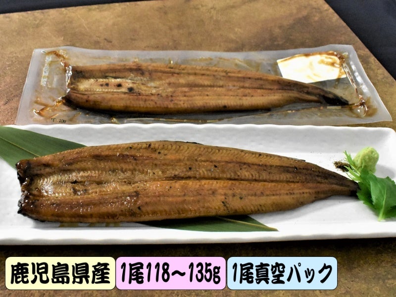 【鹿児島県産】活〆うなぎ長蒲焼き　1尾