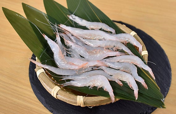 白えび（加熱用）（富山湾産） 200g