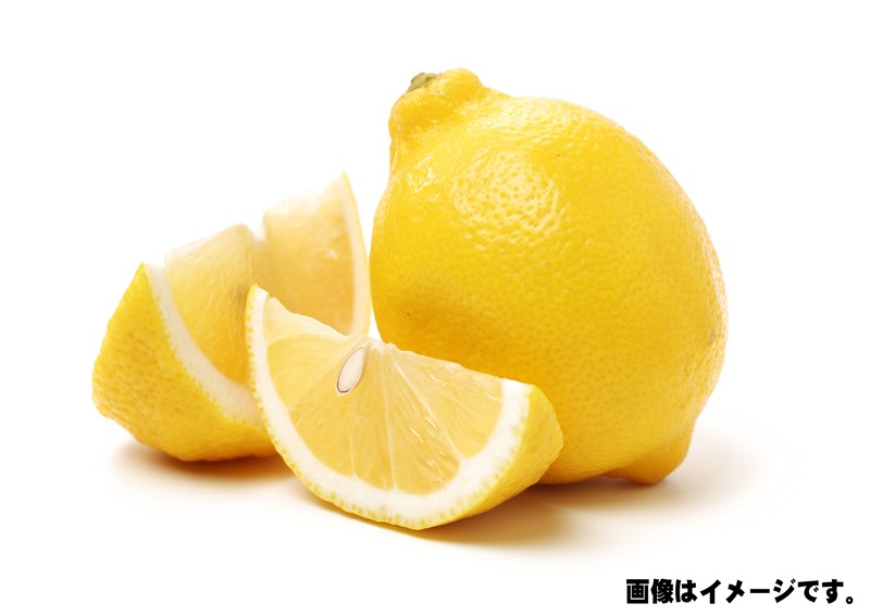 レモン（140玉サイズ）1個【生鮮野菜】