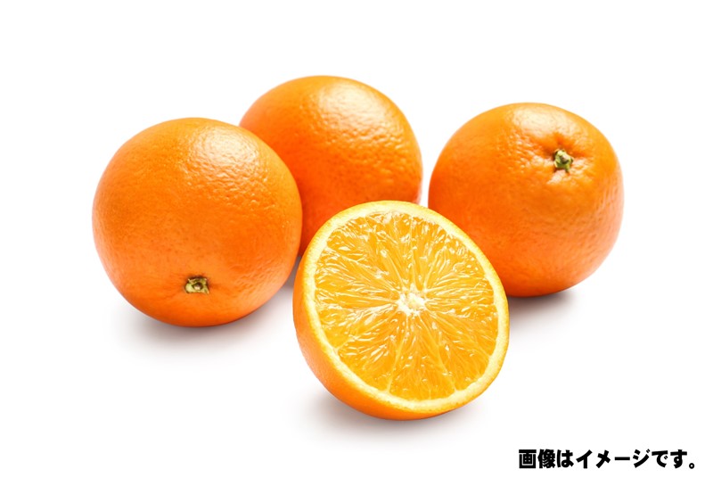 オレンジ（72玉サイズ） 1個【生鮮野菜】