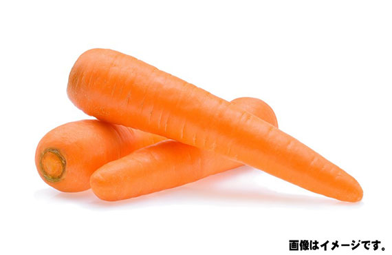 人参(2Lサイズ) 約1kg【生鮮野菜】