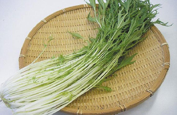 水菜(約200g) 1パック