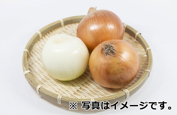 国産玉ねぎ 約 1kg