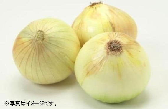 新玉ねぎ 約1kg