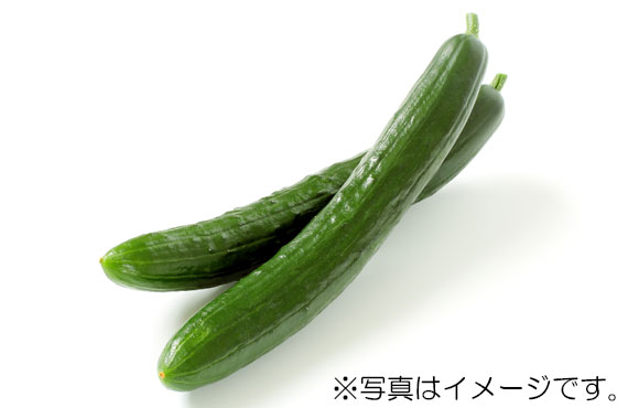 きゅうり 1本【生鮮野菜】