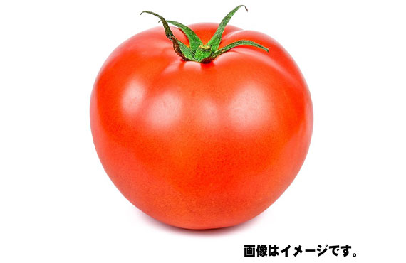 トマト 1個【生鮮野菜】