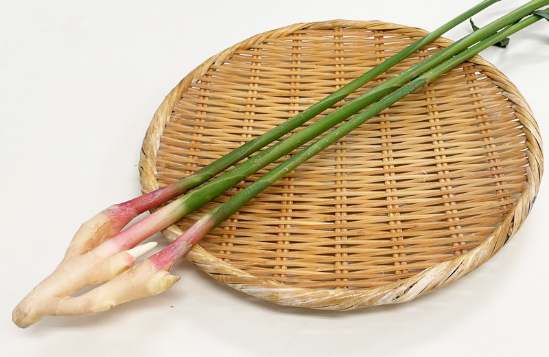 谷中生姜 （約100g） 1束【生鮮野菜】