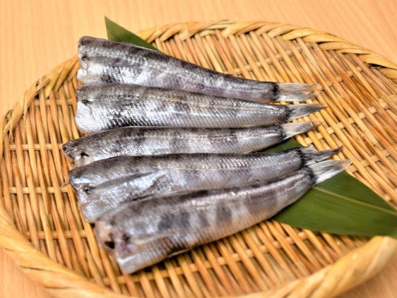 【常磐沖産】特大めひかり縄文干し 5尾