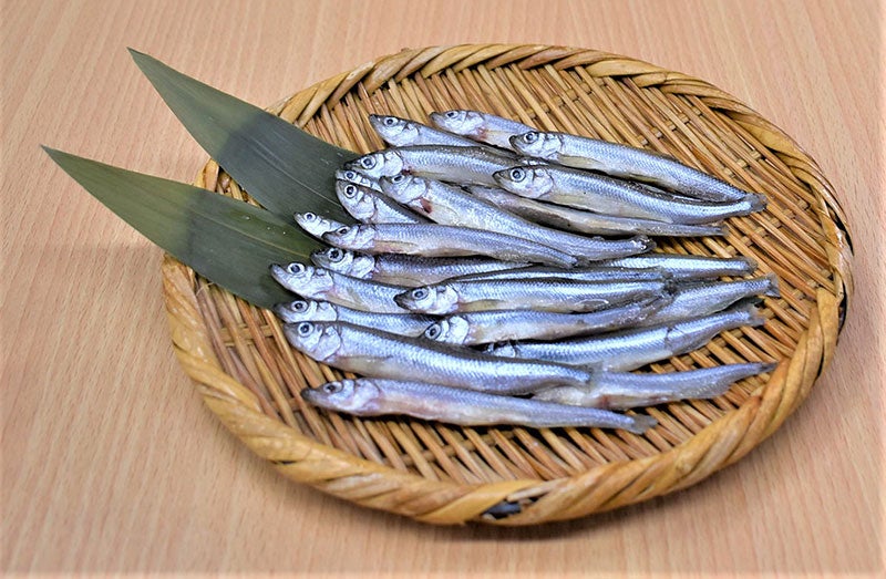 十和田湖わかさぎ
