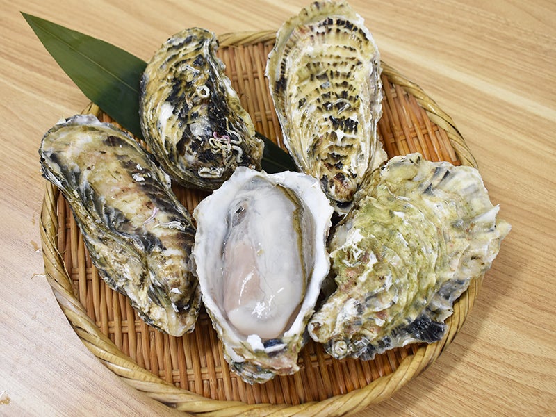 【宮城県産】殻付きかき（200－250サイズ）L 1kg