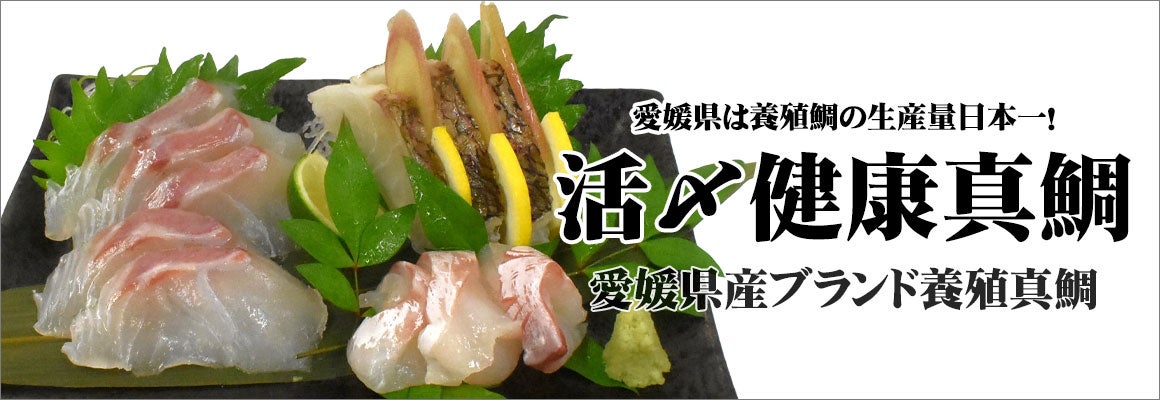 真鯛