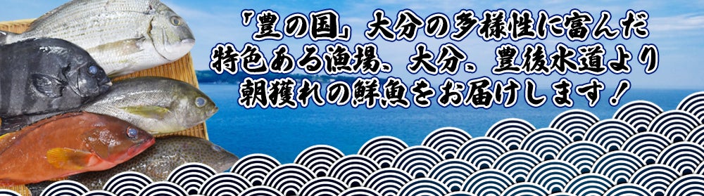 産地直送鮮魚大分