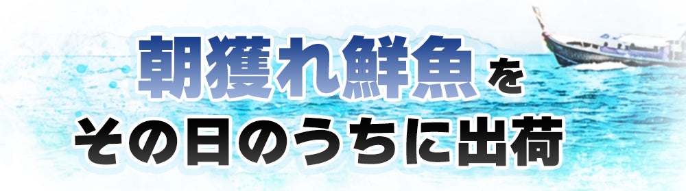 産直鮮魚トップ