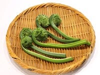 こごみ