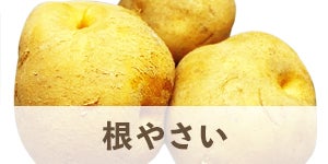 根やさい