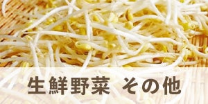 生鮮野菜　その他
