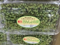 実山椒