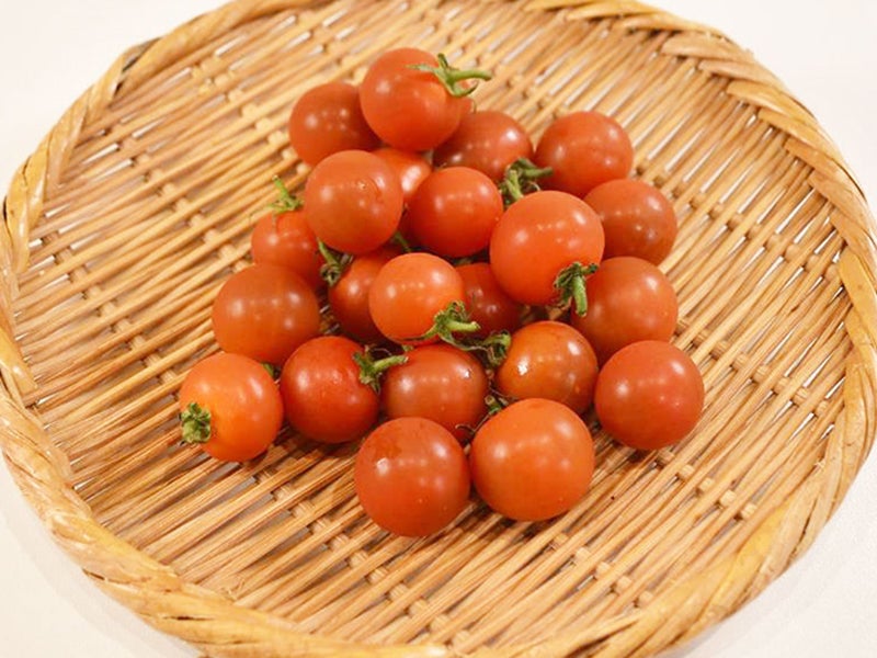 プチトマト（約200g） 1パック 