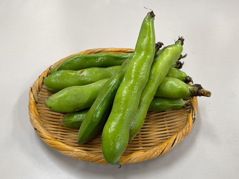 そら豆　約1kg
