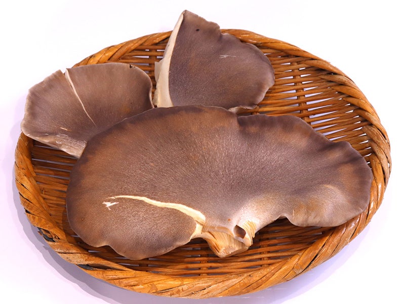 黒あわび茸１パック