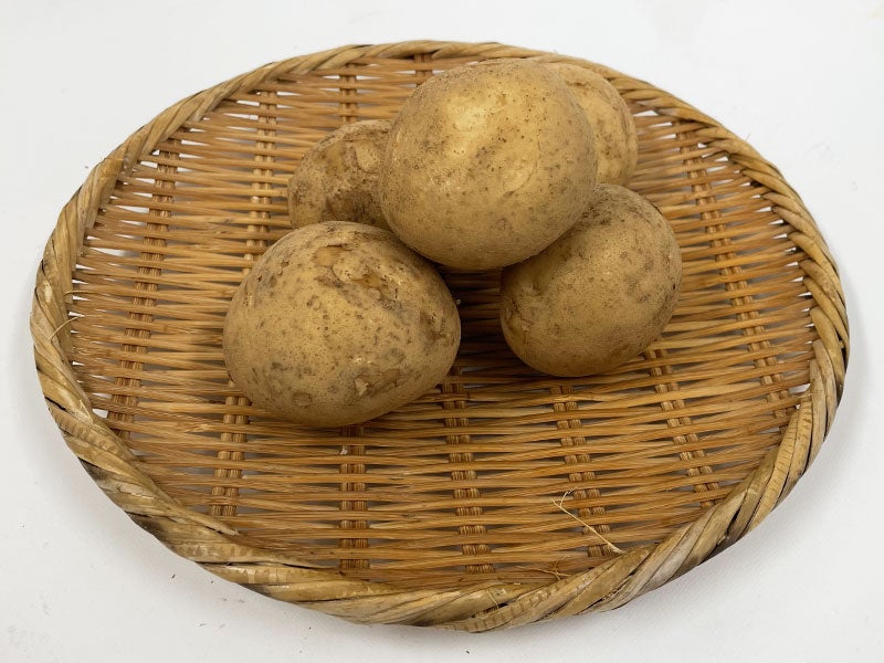 新じゃがいも　約1kg