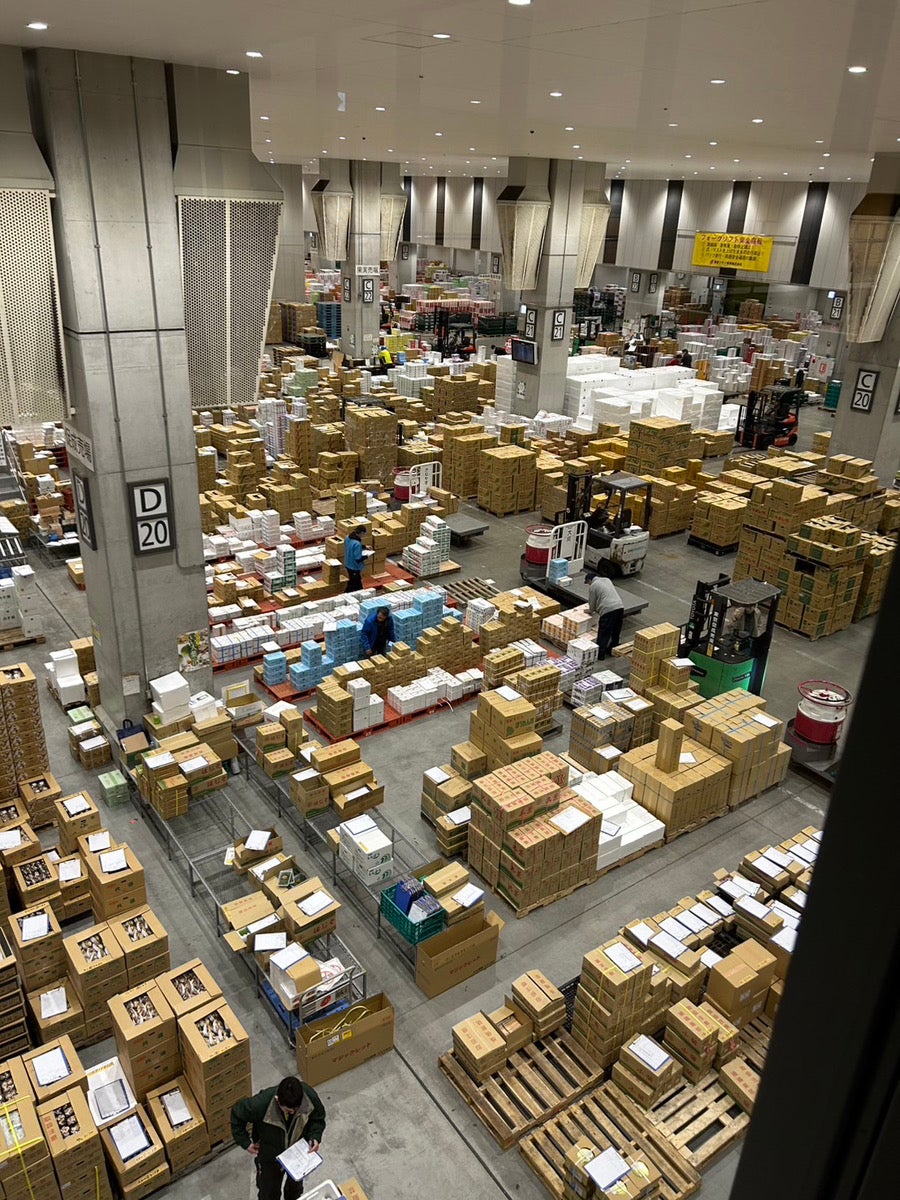 豊洲市場イメージ