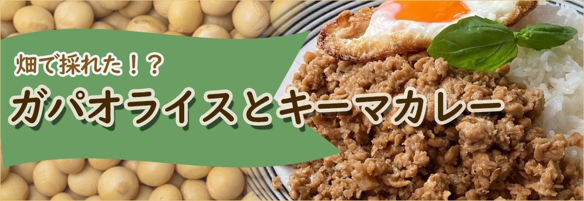 畑で採れた!?ガパオライスとキーマカレー