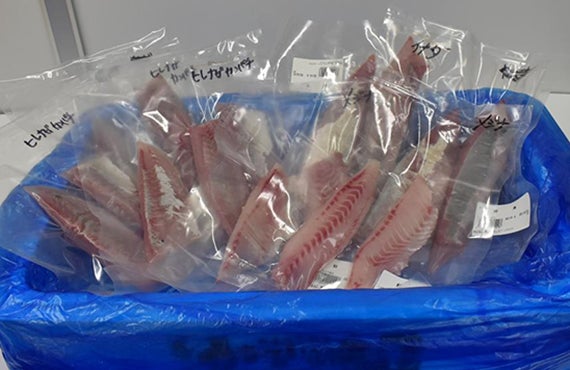 南房総 地魚3品盛用約1kg本州四国お届送料込